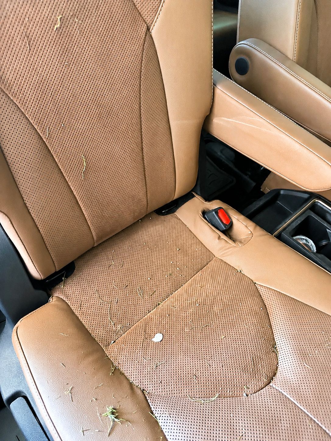 Leather seat deep clean before and after